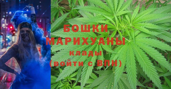 дмт Алзамай