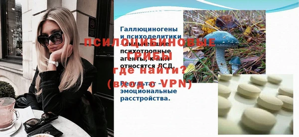 гашик Аркадак