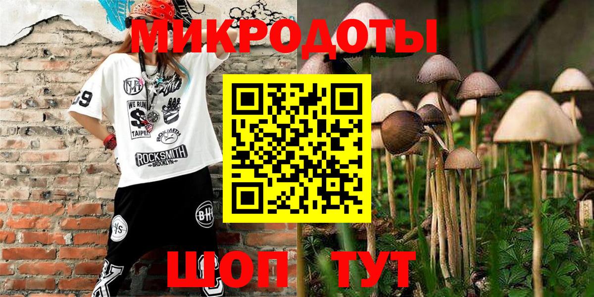 Галлюциногенные грибы MAGIC MUSHROOMS Большой Камень