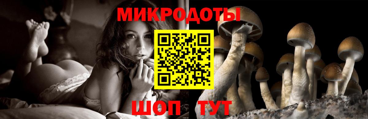 Большой Камень  Псилоцибиновые грибы Magic Shrooms  Вход с VPN 